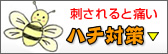 n`iIE͂j΍
