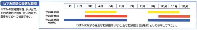 ねずみ駆除の最適な時期