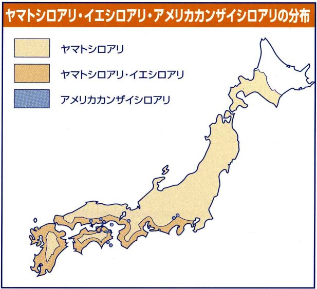 日本でのシロアリ分布図