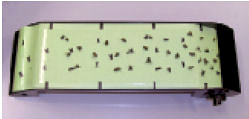 エプシロンエコMAX30　捕虫器　エプシロンエコMAX30,飛翔昆虫誘引捕獲器,害虫駆除,殺虫剤,虫退治,ユスリカ,チョウバエ,コバエ
