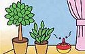 コバエがホイホイ,飛翔昆虫誘引捕獲器,害虫駆除,殺虫剤,虫退治,ショウジョウバエ,コバエ,リビング