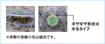 ギザギザ形状・半生タイプの毒餌剤