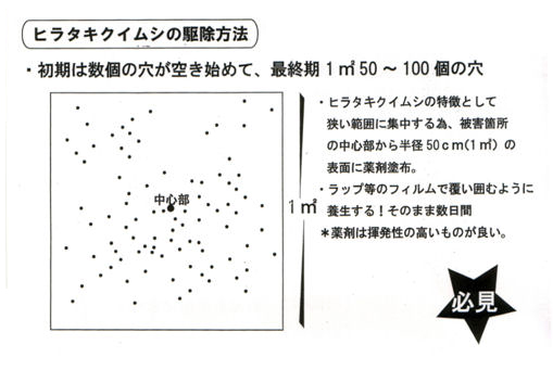 キクイムシコロリ　駆除方法　［キクイムシ駆除、キクイムシ退治、シロアリ、シバンムシ］