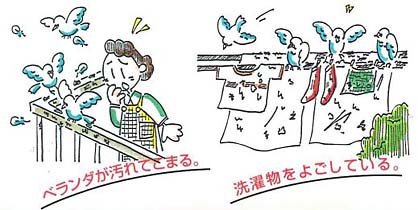 スプレーするだけ！簡単ハト対策　ハトガード 説明画像1