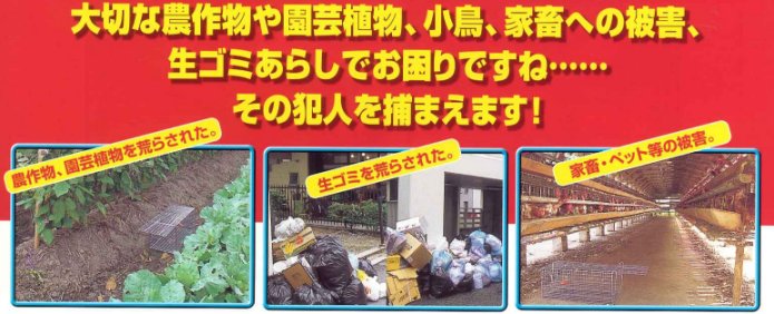 アニマルキャッチャー　ネコ用捕獲器 説明画像1