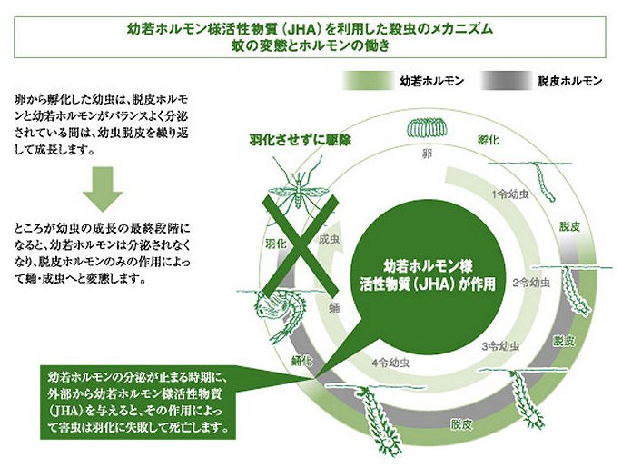 アーススミラブ粒剤、ピリプロキシフェン、昆虫成長制御剤（IGR）、蚊幼虫（ボウフラ）、ハエ幼虫（ウジ）、殺虫剤、幼若ホルモン、脱皮ホルモン