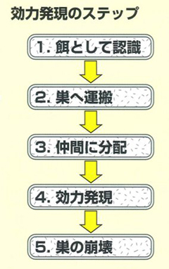 アンツバスター　使用方法1