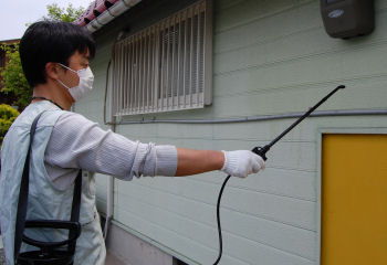 カメムシ駆除用殺虫剤カメムシ用キンチョール（水性乳剤）　,害虫駆除,殺虫剤,虫退治,カメムシ用キンチョール乳剤,ダイヤスプレー