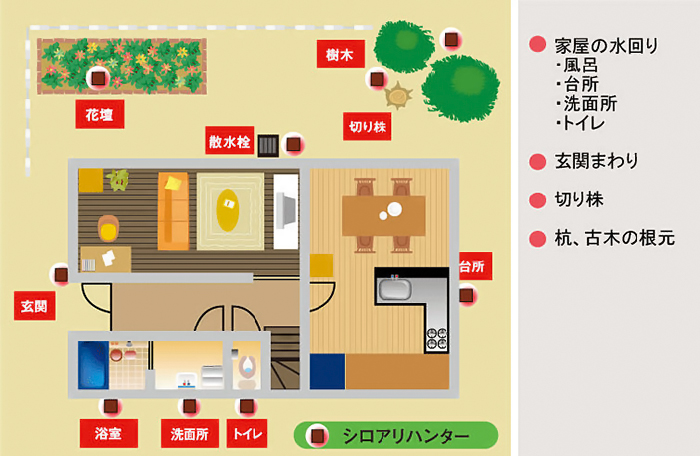 シロアリハンター　使用方法３　［シロアリ（白蟻・白アリ）、害虫駆除、退治、対策、方法、写真、家、巣（コロニー）、簡単］