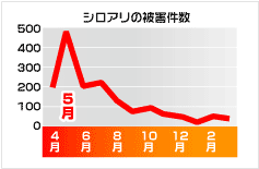 シロアリハンター　シロアリの活動時期　［シロアリ（白蟻・白アリ）、害虫駆除、退治、対策、方法、写真、家、巣（コロニー）、簡単］