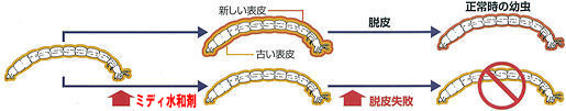 ミディ水和剤,害虫駆除,殺虫剤,虫退治,ハエ,蚊,コバエ,ユスリカ,チョウバエ