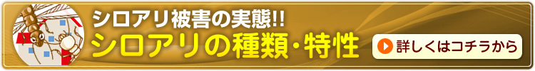 シロアリ被害の実態!!シロアリの種類・特性
