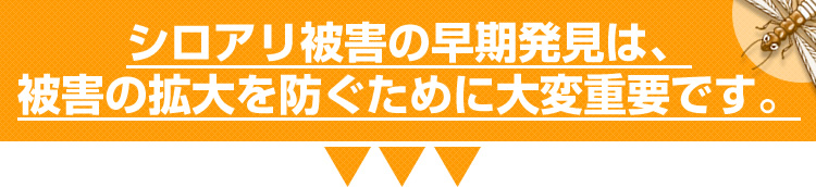 シロアリ被害の早期発見は、被害の拡大を防ぐために大変重要です。