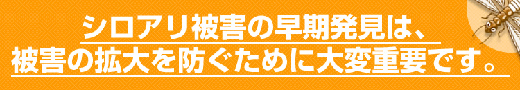 シロアリ被害の早期発見は、被害の拡大を防ぐために大変重要です。